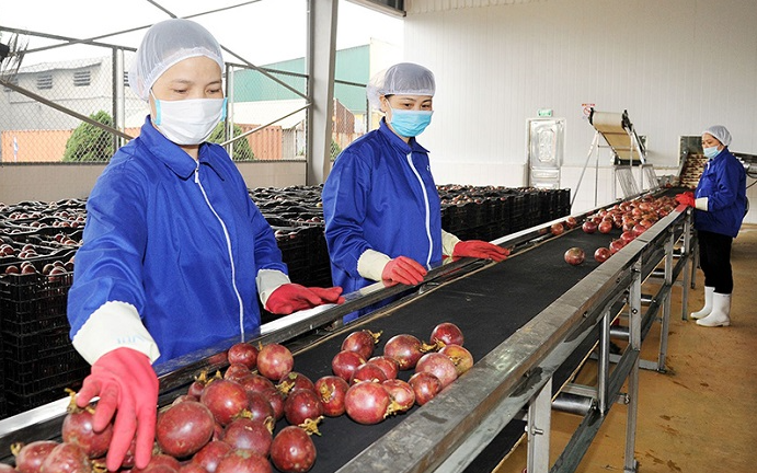 Hàng hóa xuất khẩu sang EU không được có chất gây rối loạn nội tiết, ung thư