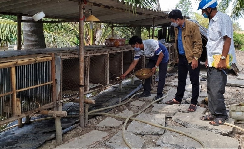Gia đình anh Nguyễn Văn Na (áo thun) cũng đã có nguồn thu hàng chục triệu đồng nhờ nuôi chồn. Gia đình anh Nguyễn Văn Na (áo thun) cũng đã có nguồn thu hàng chục triệu đồng nhờ nuôi chồn.