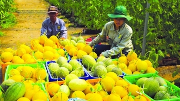 Bộ Nông nghiệp phấn đấu xuất khẩu nông lâm thủy sản đạt từ 54 - 55 tỷ USD