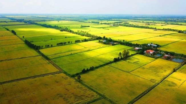 Kế hoạch tổ chức lấy ý kiến góp ý dự thảo Luật Đất đai (sửa đổi)