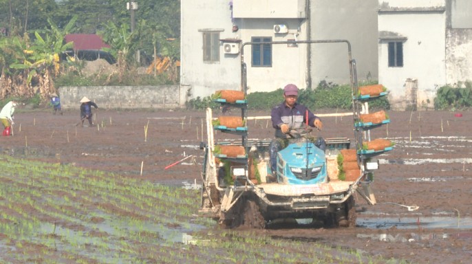 Thành phố Phủ Lý tập trung đẩy mạnh sản xuất vụ Xuân năm 2023