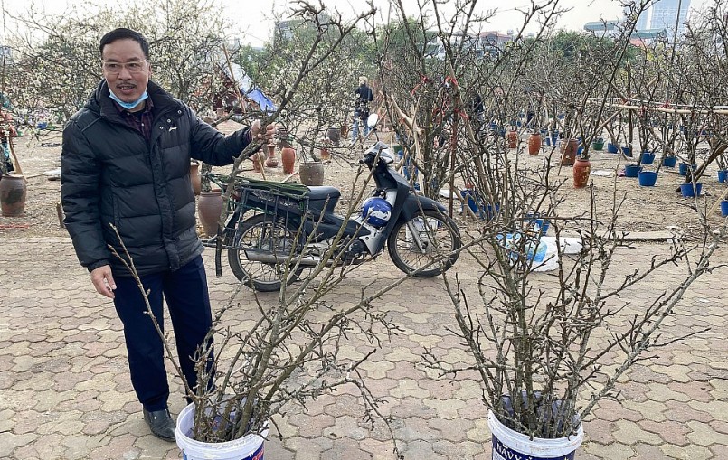 Những cành lê loại nhỏ có giá 200.000 - 300.000 đồng.