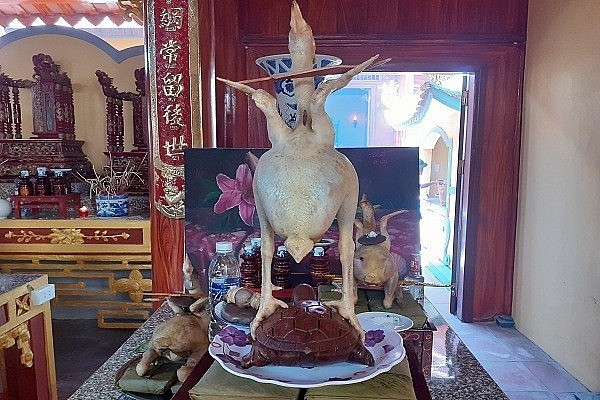 Thế gà bay đứng trên mình rùa Thế gà bay đứng trên mình rùa