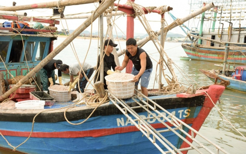 Mỗi thuyền khai thác ruốc thường có 6 - 10 người