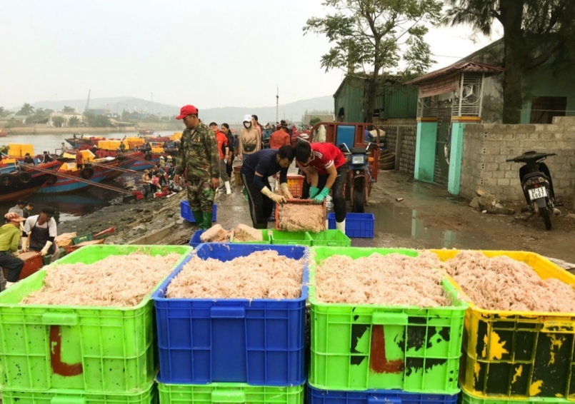 Mùa khai thác ruốc tép bắt đầu từ tháng 9 âm lịch đến hết tháng Giêng âm lịch