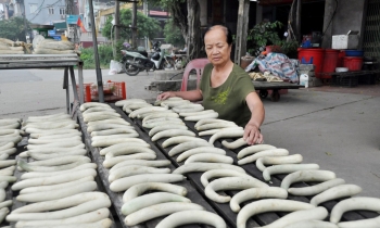 Loại quả rẻ bèo, ăn mát lịm tận ruột gan, đem muối chua thành đặc sản chỉ nhìn thôi cũng thèm