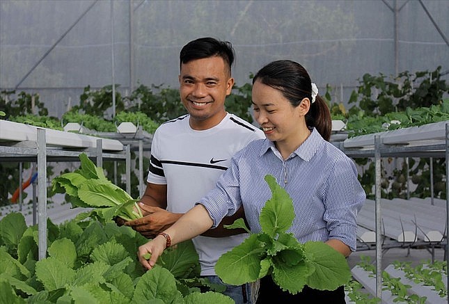 Chị Trang và chồng là anh Nguyễn Quốc Tuấn chăm sóc kỹ càng cho từng luống rau sạch