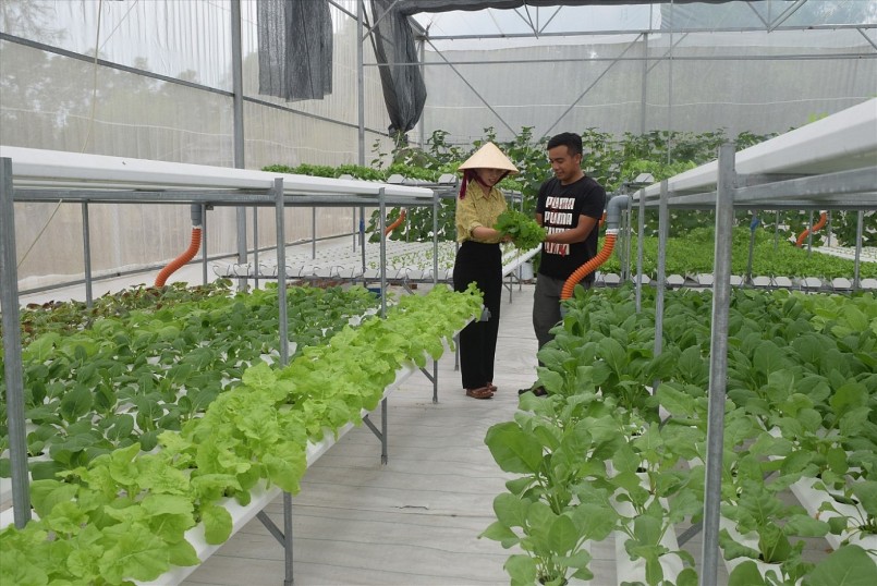 inh phí ban đầu hơn 600 triệu đồng