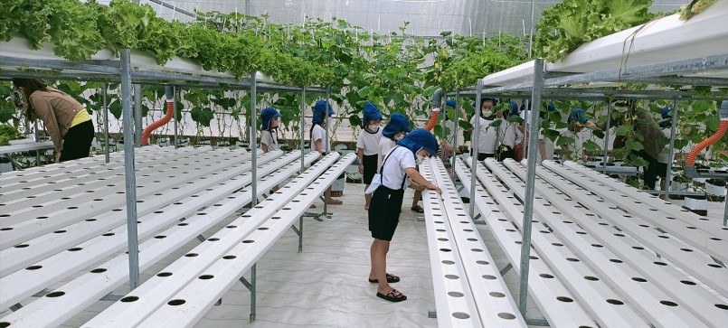 Các em nhỏ tham gia trải nghiệm tại HTX của chị Diệp Thị Thảo Trang