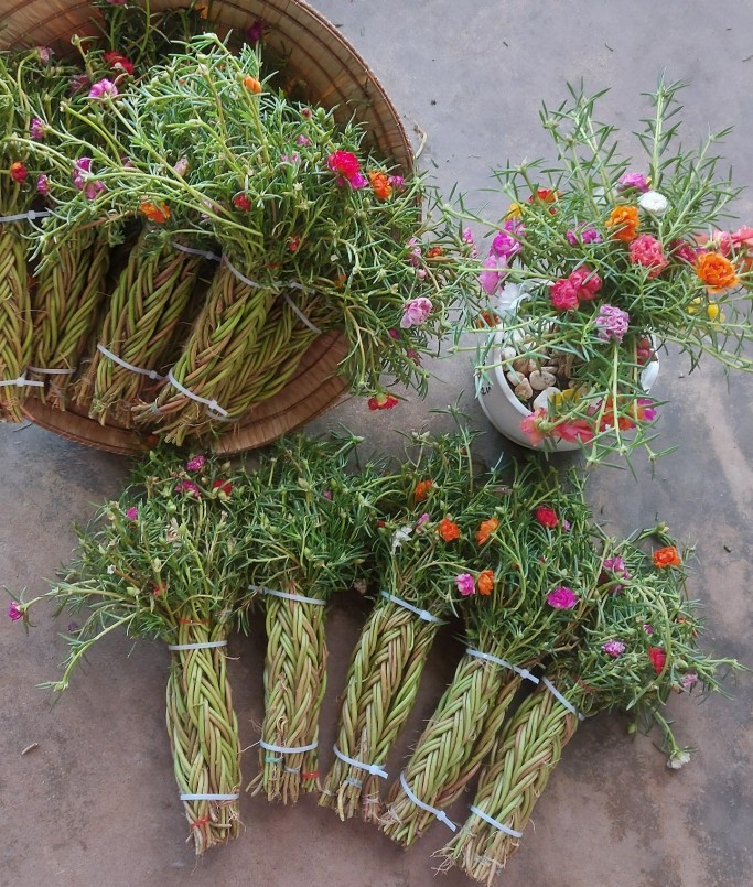 Thảo bán được hơn 1.000 bó để khách làm bonsai Thảo bán được hơn 1.000 bó để khách làm bonsai