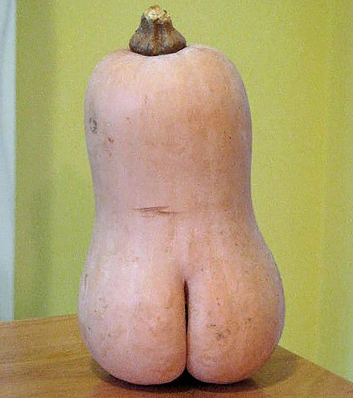 Trái bí đỏ quyến rũ khiến nhiều người đỏ mặt. Ảnh: Pikabu