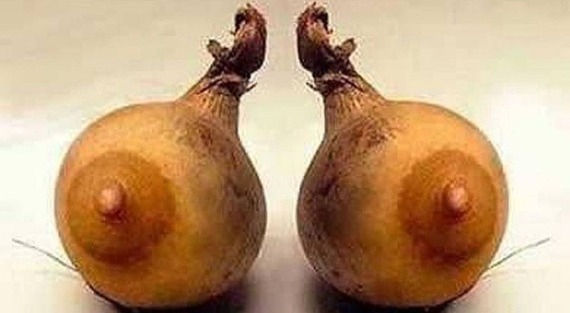 Nhìn qua tưởng vòng một của phụ nữ. Ảnh: Amoyka  