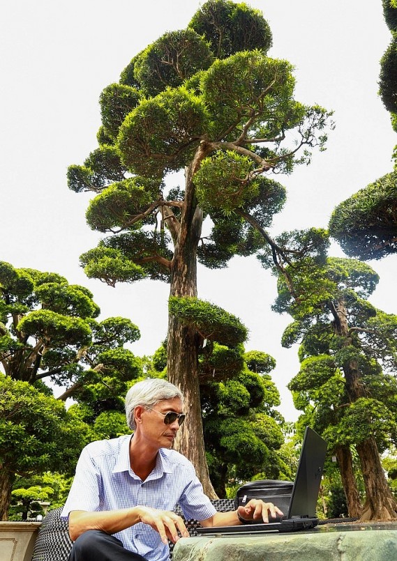 Các video nói về cây cảnh của ông Lành thu hút hàng triệu lượt like và comment trên mạng xã hội.