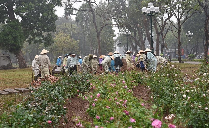 10.000 cây hoa hồng sẽ được trồng tại không gian mở công viên từ khu vực tượng đài đến cổng chính công viên trên đường Trần Nhân Tông, chiều dài gần 300 m.  
