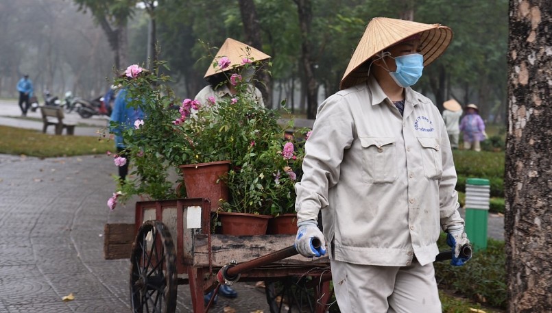 Hàng chục công nhân san gạt đánh luống để chuẩn bị trồng hoa hồng. 