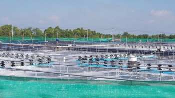 Nam Định: Đẩy nhanh công nghiệp hóa, hiện đại hóa nhờ các tiến bộ về khoa học và công nghệ