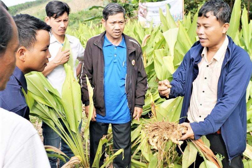 Ông Bríu Tư (bên phải) chia sẻ kỹ thuật trồng nghệ đen cho các hộ dân địa phương.Ảnh: Đăng Nguyên