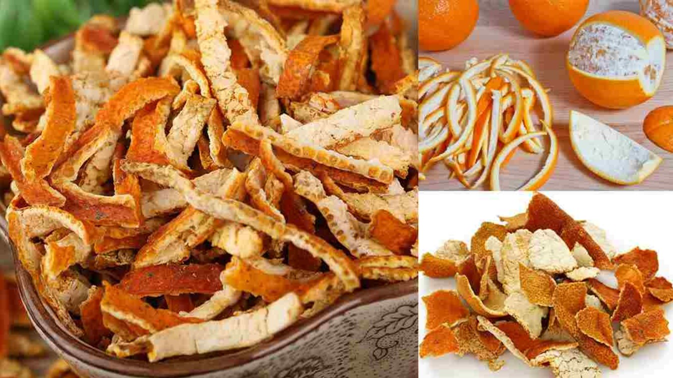 Bộ phận của quả quýt ai cũng vứt nhưng lại có giá trị dinh dưỡng không tưởng