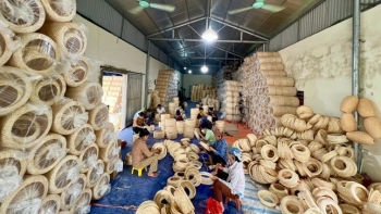 Lấy cây mọc bờ mọc bụi về đan đồ dùng, người nước ngoài rất mê, 9x kiếm bộn tiền