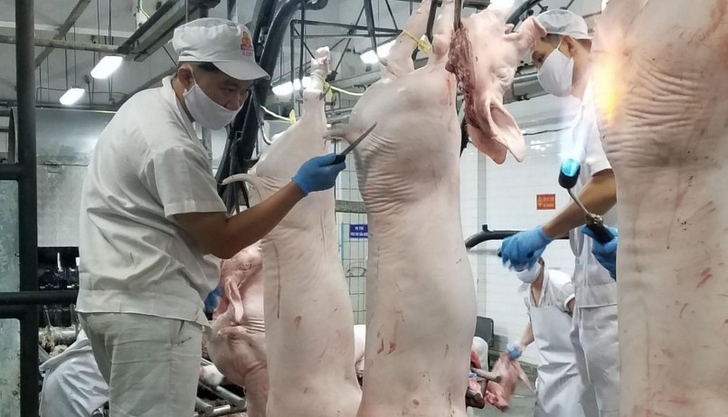 Giá heo hơi năm 2023 đối mặt với khó khăn do nhu cầu nhập khẩu của Trung Quốc dự báo sẽ giảm.