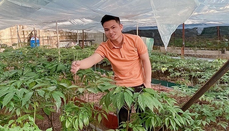 Trần Cao Nguyên bên vườn sâm Ngọc Linh