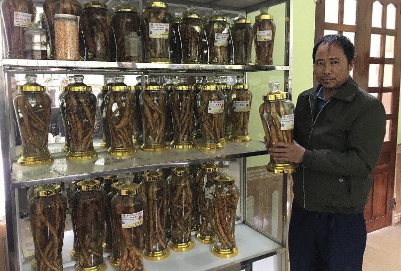 Ông Nguyễn Hải Đăng và những sản phẩm rượu sâm Nam do chính mình chế biến.