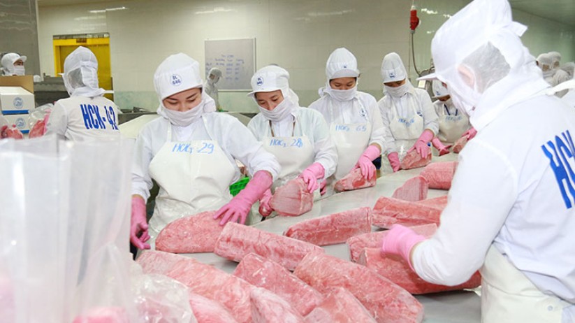 Xuất khẩu cá ngừ sang Mỹ dự báo giảm trong quý đầu năm 2023