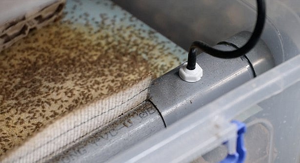 Hệ thống uống nước - trong những sáng chế độc quyền của Cricket One.