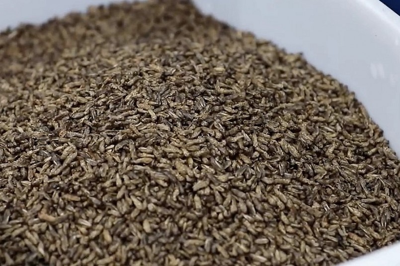 Chế biến như sấy khô và xử lý nhiệt, mùi dế và các umami trong dế sẽ được tăng cường.