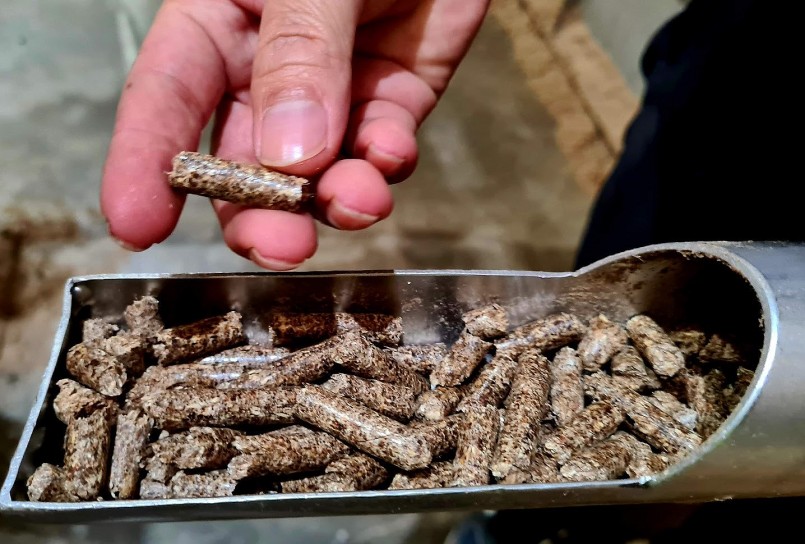 Xuất khẩu dăm gỗ, viên nén kỳ vọng tiếp tục tăng mạnh trong thời gian tới