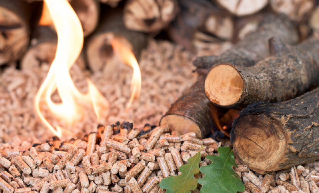 Mặt hàng dăm gỗ và viên gỗ nén có tỷ trọng xuất khẩu tăng mạnh