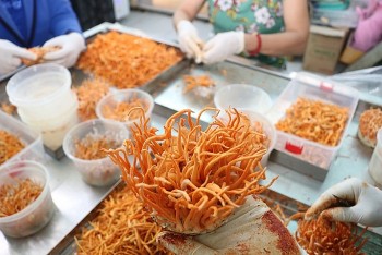 Khởi nghiệp từ căn phòng 9m2, anh kỹ sư có cả gia tài, thu nhập tiền tỷ mỗi năm