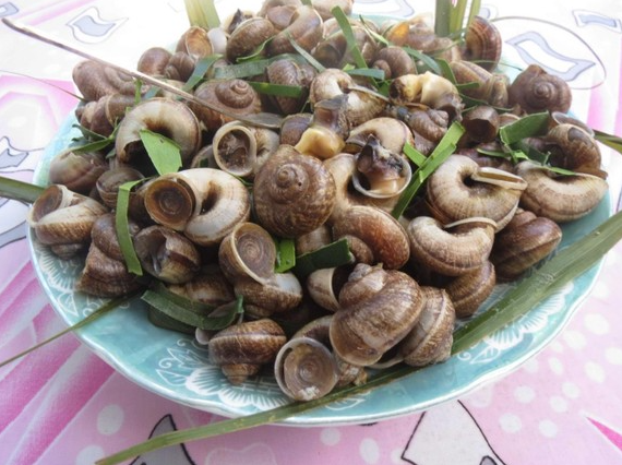 Khi ăn ốc núi nên ăn cả con không cần bỏ ruột, lúc ăn nhai chậm và kỹ mới cảm nhận được vị mát lành, thơm mùi thuốc Bắc. Có lẽ chính cái vị ngọt thanh, chút hương lá rừng là lạ đã làm thực khách mê mẩn với món đặc sản ốc núi đá này. Khi ăn ốc núi nên ăn cả con không cần bỏ ruột, lúc ăn nhai chậm và kỹ mới cảm nhận được vị mát lành, thơm mùi thuốc Bắc. Có lẽ chính cái vị ngọt thanh, chút hương lá rừng là lạ đã làm thực khách mê mẩn với món đặc sản ốc núi đá này.