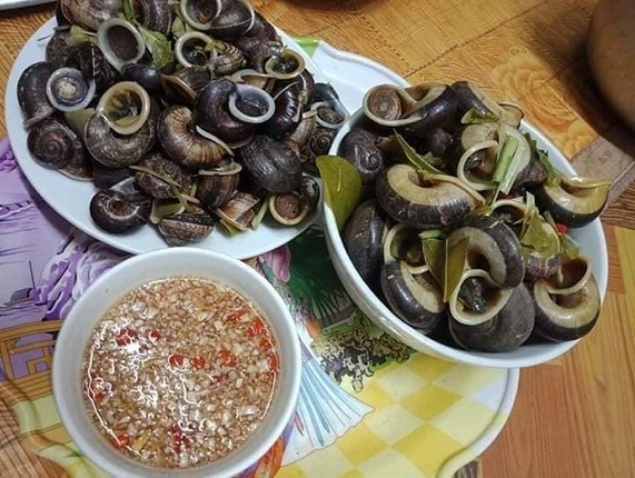 Đồng bào dân tộc Thái ở huyện Mai Châu (Hòa Bình) thường lên rừng săn bắt ốc núi đá về chế biến thành nhiều món ăn vô cùng hấp dẫn như: Luộc, xào lá lốt, hấp gừng, hấp xả, xào sả ớt, trộn gỏi... Nhưng món ăn được đồng bào Thái ưa thích và chế biến nhiều nhất vẫn là món ốc hấp xả. Đồng bào dân tộc Thái ở huyện Mai Châu (Hòa Bình) thường lên rừng săn bắt ốc núi đá về chế biến thành nhiều món ăn vô cùng hấp dẫn như: Luộc, xào lá lốt, hấp gừng, hấp xả, xào sả ớt, trộn gỏi... Nhưng món ăn được đồng bào Thái ưa thích và chế biến nhiều nhất vẫn là món ốc hấp xả.