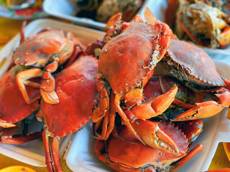 Rất nhiều loại hải sản tươi sống