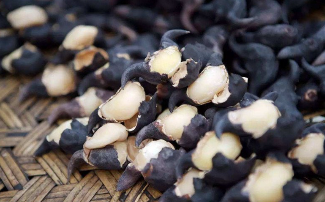 Loại củ vừa đen vừa xấu, xưa là món quà vặt dân dã, nay thành đặc sản bổ ngang nhân sâm