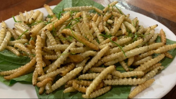 Đặc sản Sùng tre không phải ai cũng dám thử, giá nửa triệu cũng khó mà mua