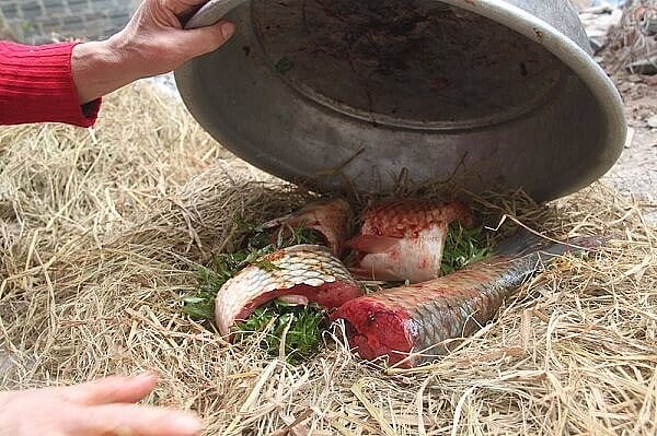 Chỉ cần một cái chậu là chế biến được món đặc sản ngon không chê vào đâu được Chỉ cần một cái chậu là chế biến được món đặc sản ngon không chê vào đâu được