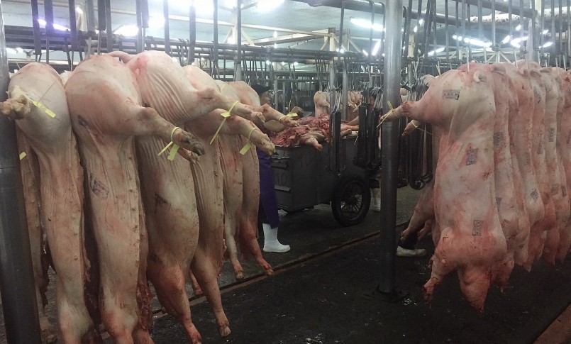 Những giải pháp thúc đẩy giá heo hơi hiện nay vẫn chưa đem lại kết qủa khả quan khi thị trường thịt heo còn chậm.
