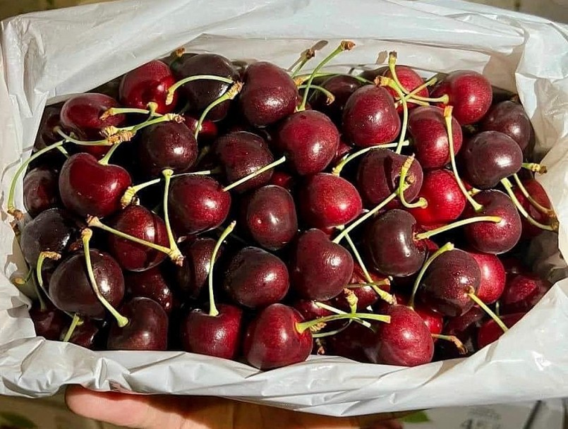 Loại quả sang chảnh này đang có mức giá rẻ hiếm thấy