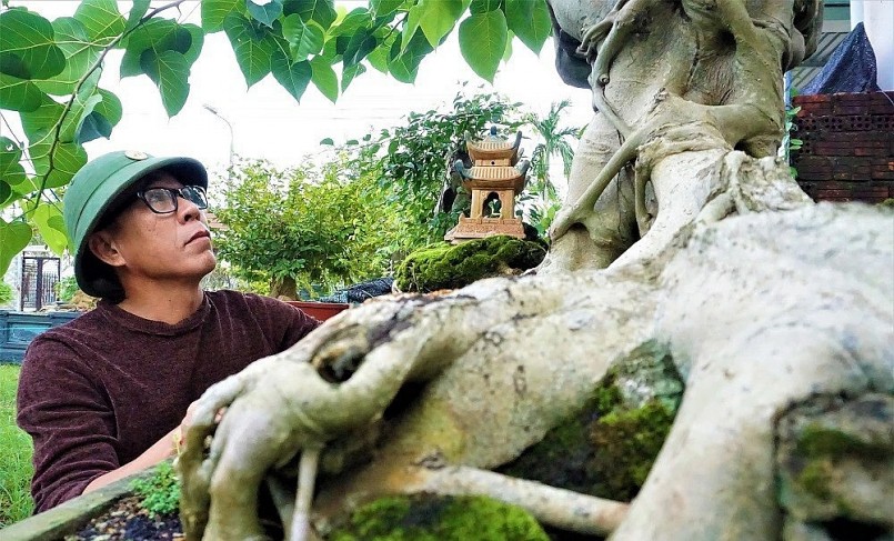 Hầu hết các cây trong vườn anh đều có độ tuổi từ 60 đến 100 năm tuổi.