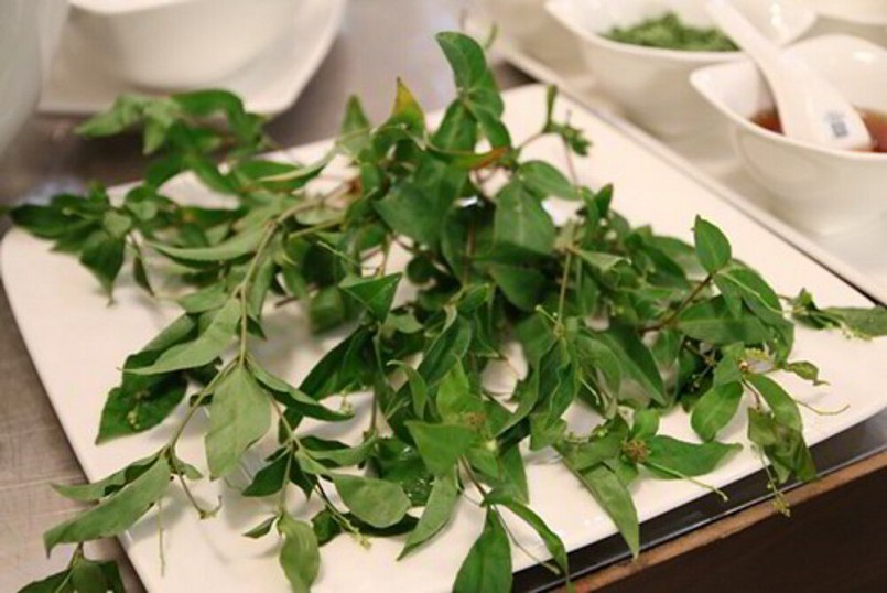 Lá dít là nguyên liệu chính làm nên hương vị tuyệt vời của món canh chua lá dít nấu thịt gà 