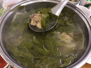 Loại lá mọc hàng rào tưởng vô dụng, hoá ra là đặc sản nổi tiếng, đem nấu canh chua thịt gà ăn ngon hết nấc