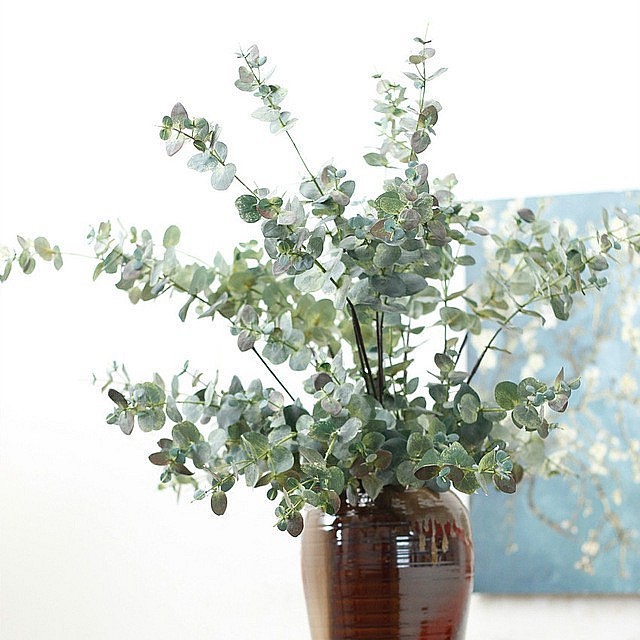 Lá khuynh diệp cắm trong nhà đem lại cảm giác dễ chịu, thoải mái bởi mùi hương của lá, vừa có thể xua muỗi rất hữu ích