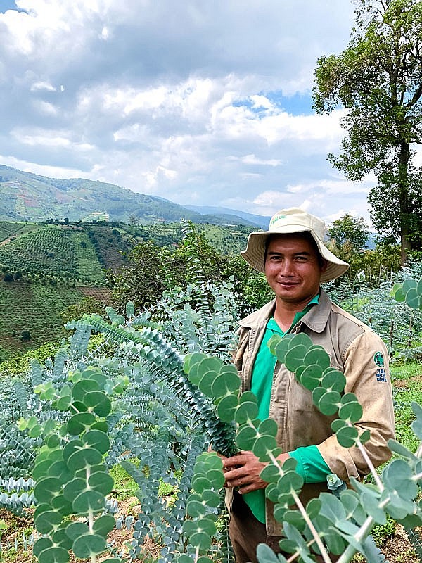 Cil Ha Phước trong vườn đô la
