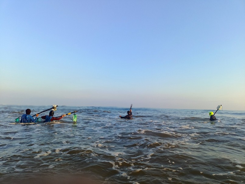 gư dân Quảng Nam đi cào ốc gạo khi ốc đã bắt đầu lớn. Ảnh: Lan Anh