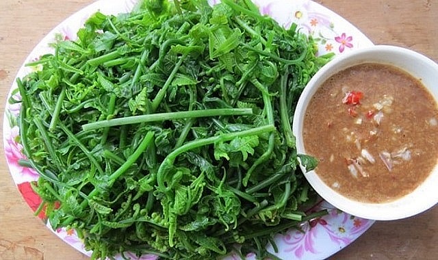Những món ăn ngon khó cưỡng từ rau dớn.