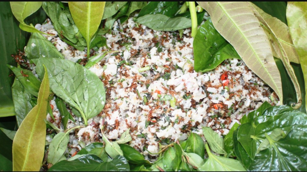 Cá gỏi kiến vàng - đặc sản “độc dị” có một không hai của người Rơ Măm