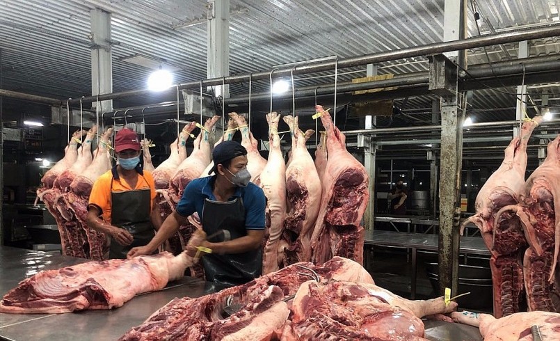 Giá heo hơi duy trì ở mức thấp do thị trường nội địa tiêu thụ chậm và cơ hội xuất khẩu còn khó khăn.