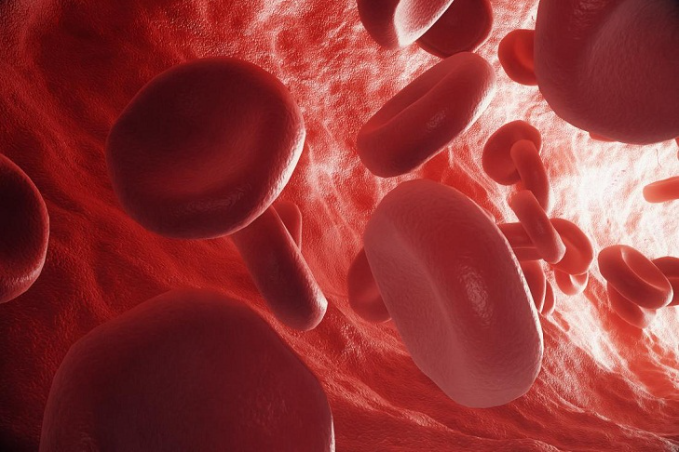 Loại quả xưa đầy dành cho người nông thôn, giờ thành đặc sản được dân thành thị ưa chuộng